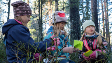 Kolme pientä tyttöä tutkimassa kirkkaita papereita metsässä istuen.