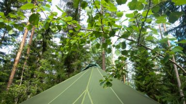 PJ-teltta metsässä